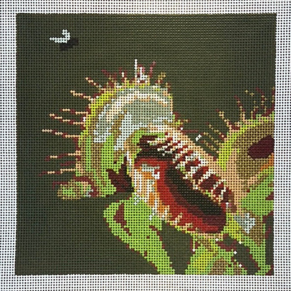 Fly Trap Square