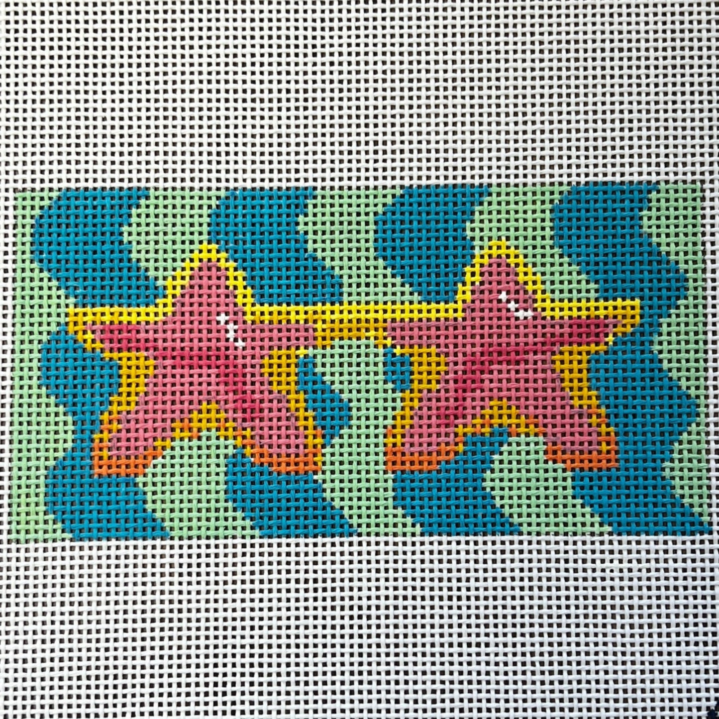 Star Glasses Eyeglass Case
