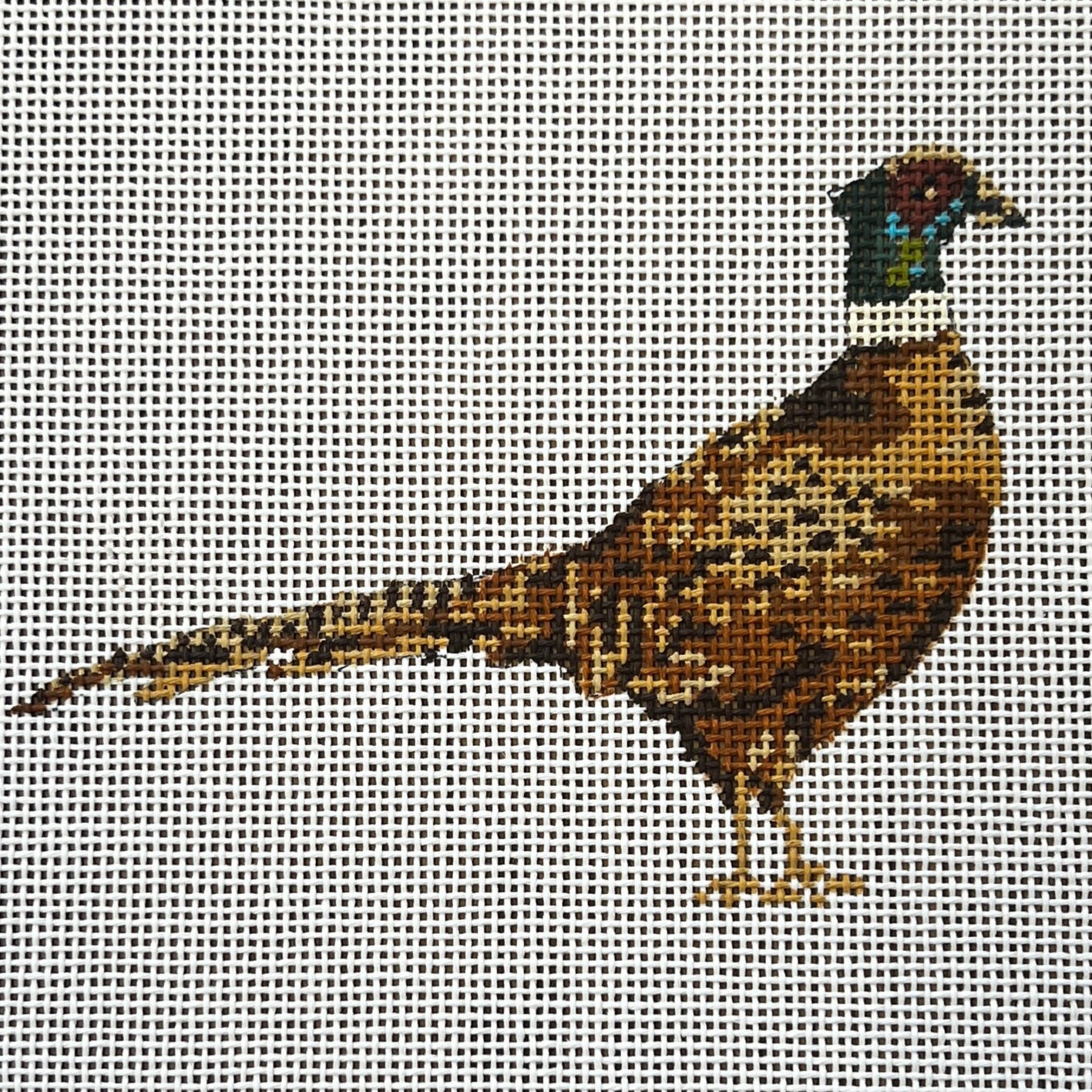 Pheasant