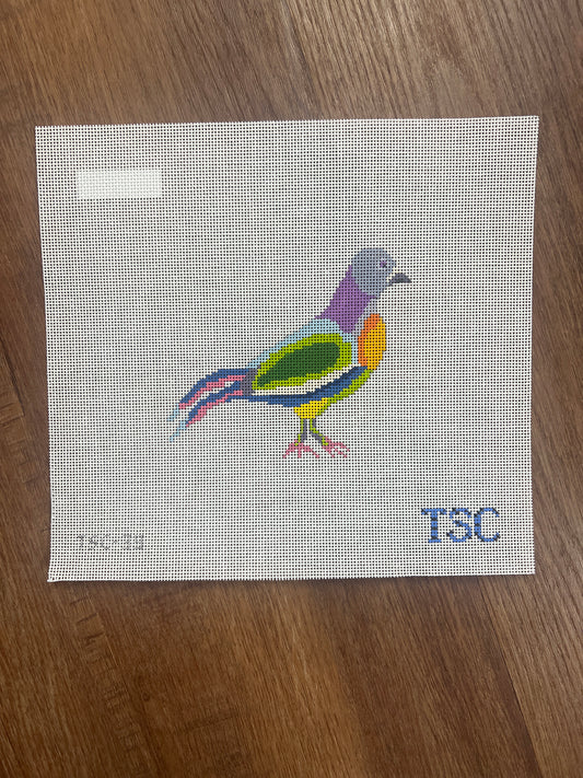 Fancy Pigeon